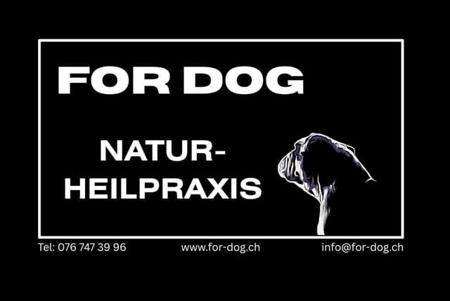 FOR DOG SHOP